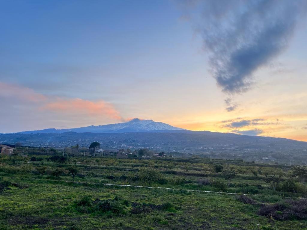 Vista Etna House Daire Fiumefreddo di Sicilia Dış mekan fotoğraf